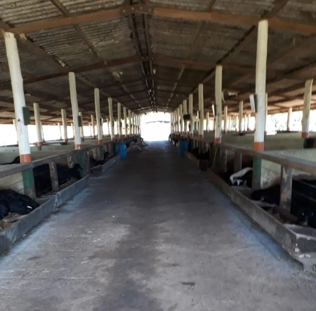 Fazenda à venda de 300 ha em Itapetininga, SP, Brasil