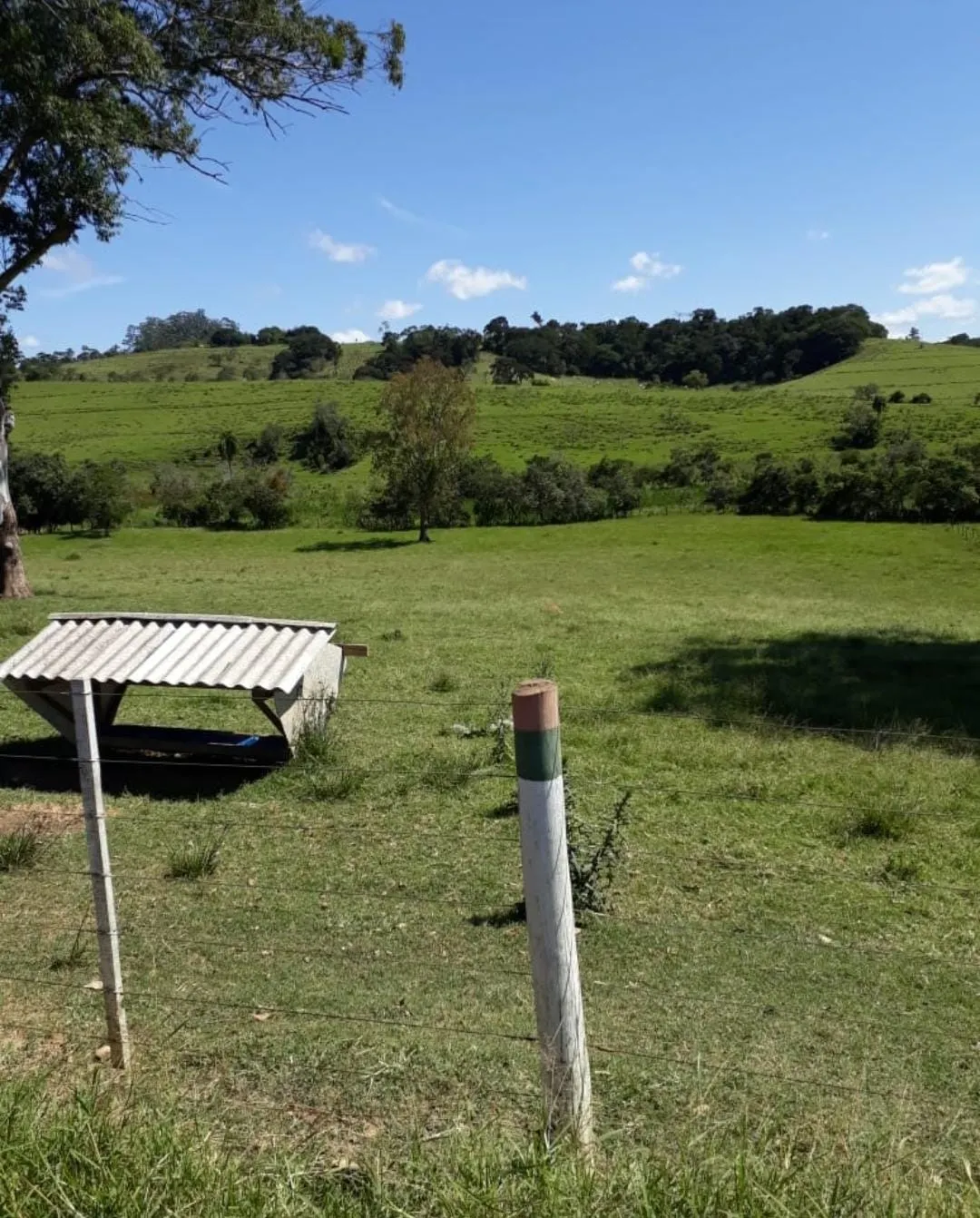 Fazenda à venda de 300 ha em Itapetininga, SP, Brasil