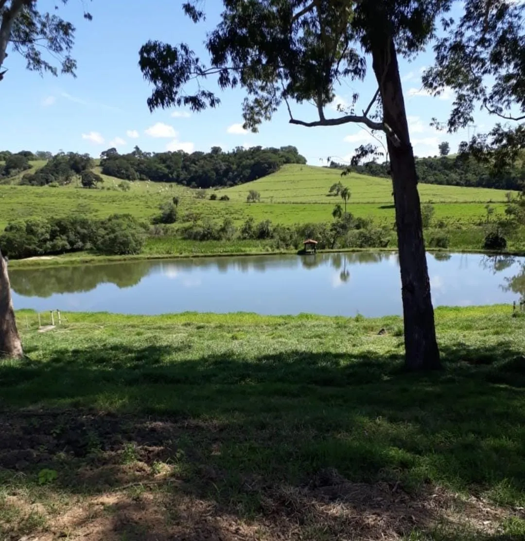 Fazenda à venda de 300 ha em Itapetininga, SP, Brasil