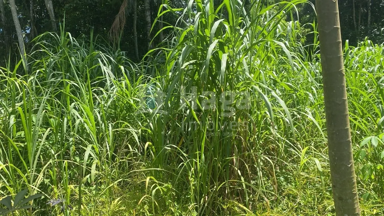 Terreno à venda de 600 m² em Guabiruba, SC, Brasil