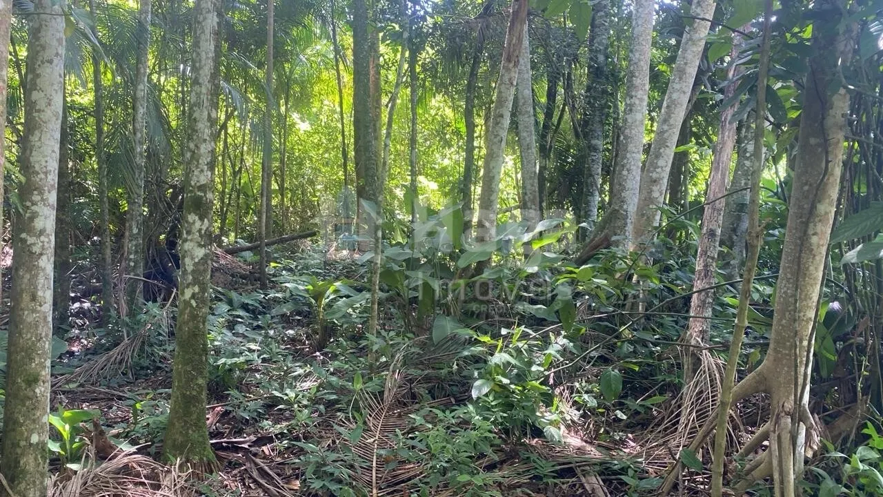Terreno à venda de 600 m² em Guabiruba, SC, Brasil