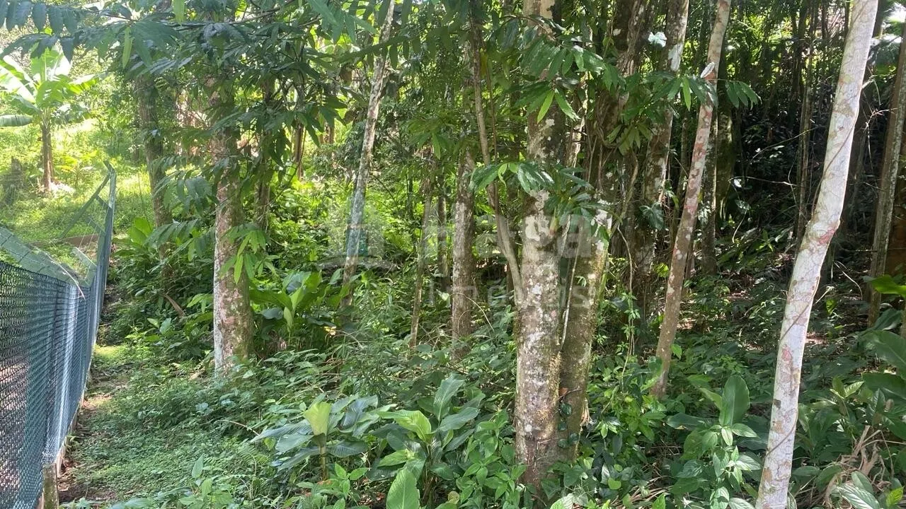 Terreno à venda de 600 m² em Guabiruba, SC, Brasil
