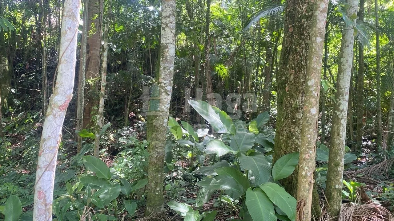 Terreno à venda de 600 m² em Guabiruba, SC, Brasil