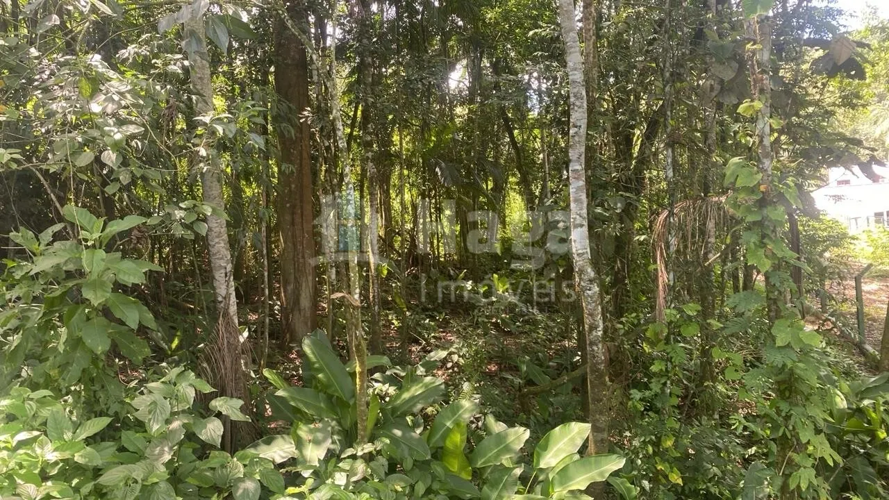Terreno à venda de 600 m² em Guabiruba, SC, Brasil