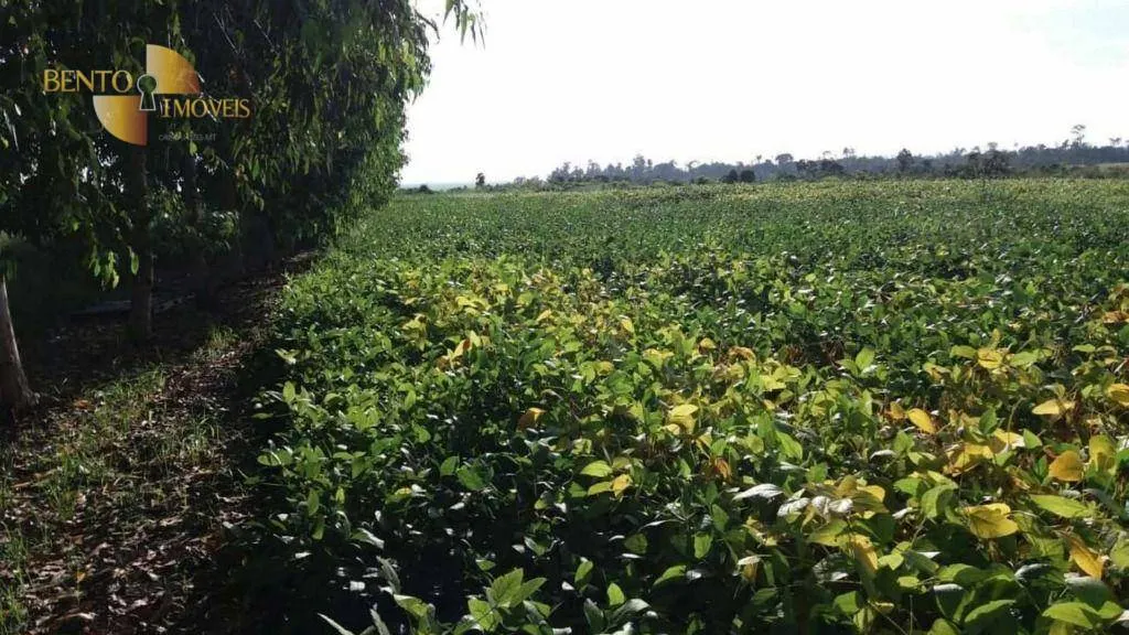 Fazenda à venda e para Arrendar de 10.890 ha em Paragominas, PA, Brasil