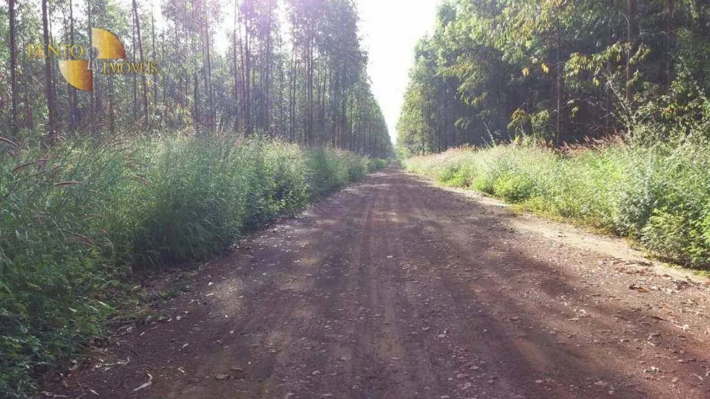 Fazenda à venda e para Arrendar de 10.890 ha em Paragominas, PA, Brasil