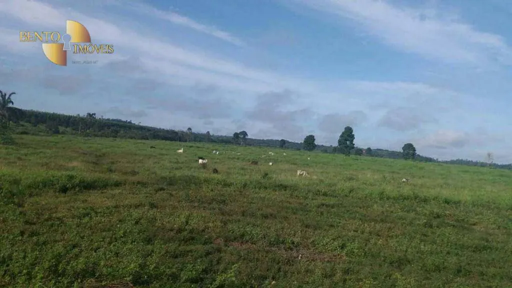 Fazenda à venda e para Arrendar de 10.890 ha em Paragominas, PA, Brasil