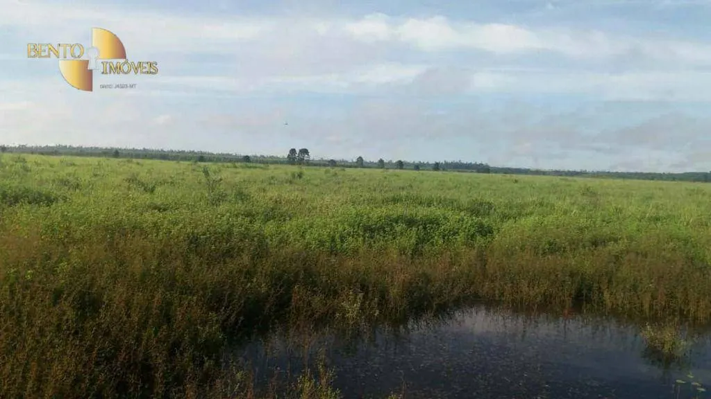 Fazenda à venda e para Arrendar de 10.890 ha em Paragominas, PA, Brasil