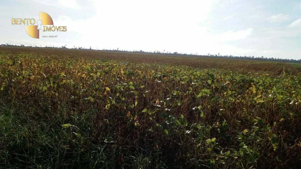 Fazenda à venda e para Arrendar de 10.890 ha em Paragominas, PA, Brasil