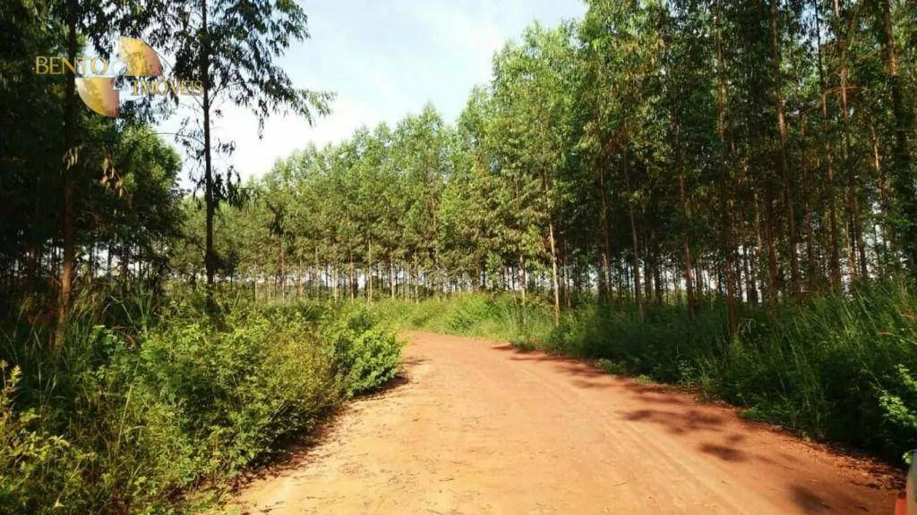 Fazenda à venda e para Arrendar de 10.890 ha em Paragominas, PA, Brasil