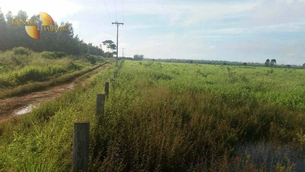 Fazenda à venda e para Arrendar de 10.890 ha em Paragominas, PA, Brasil