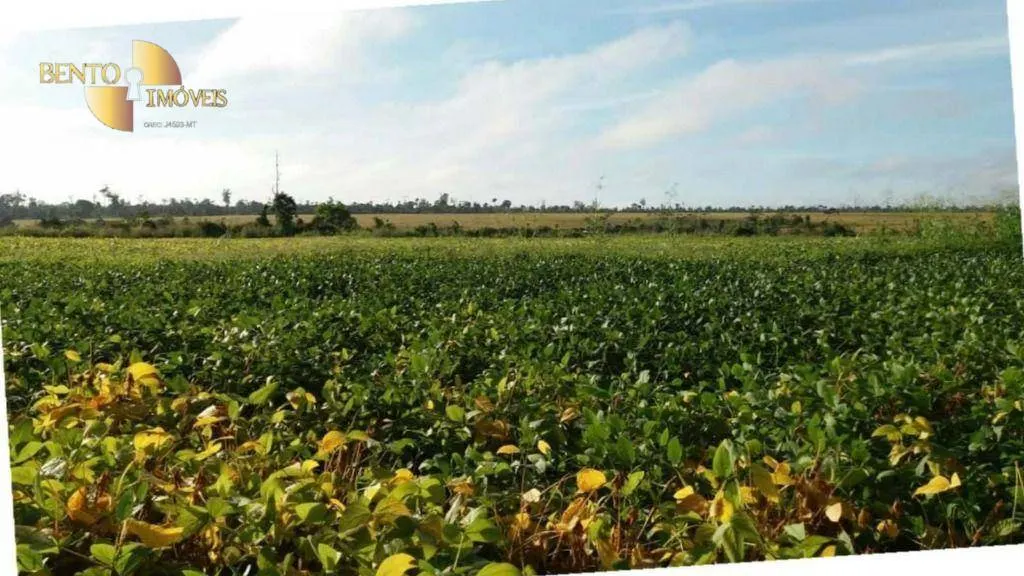 Fazenda à venda e para Arrendar de 10.890 ha em Paragominas, PA, Brasil