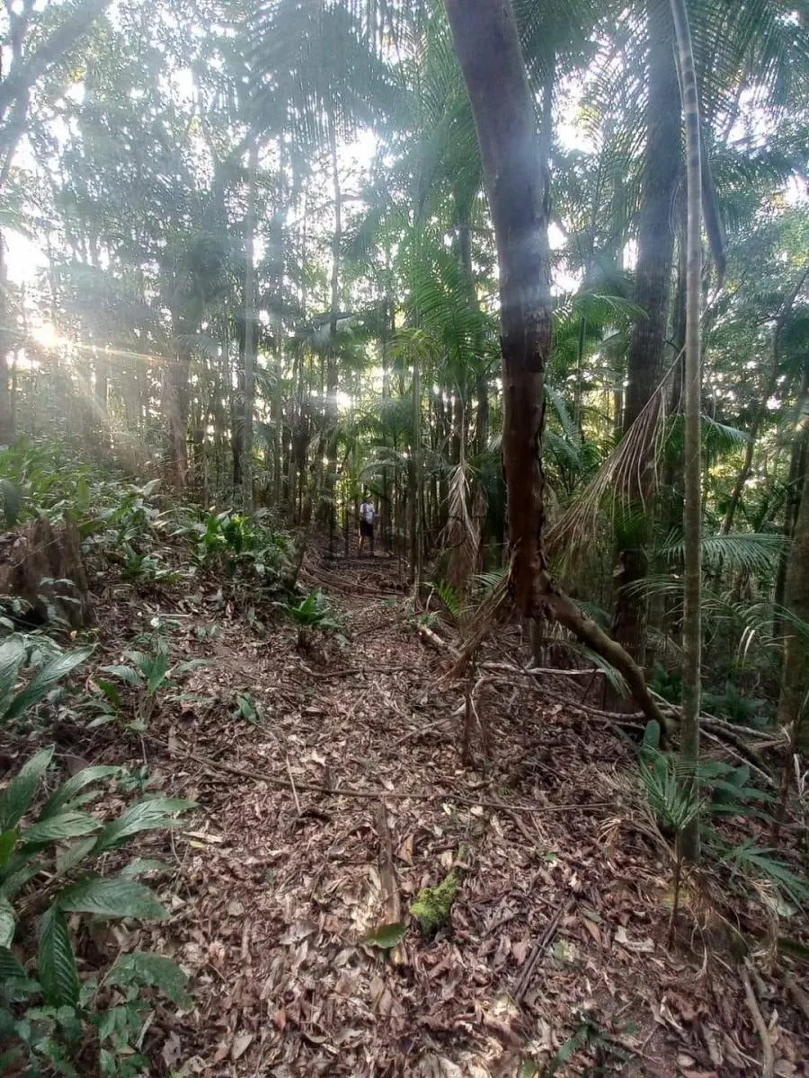 Chácara à venda de 4.900 m² em Mogi das Cruzes, SP, Brasil