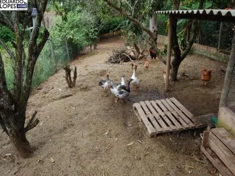 Chácara à venda de 2 ha em Elias Fausto, SP, Brasil