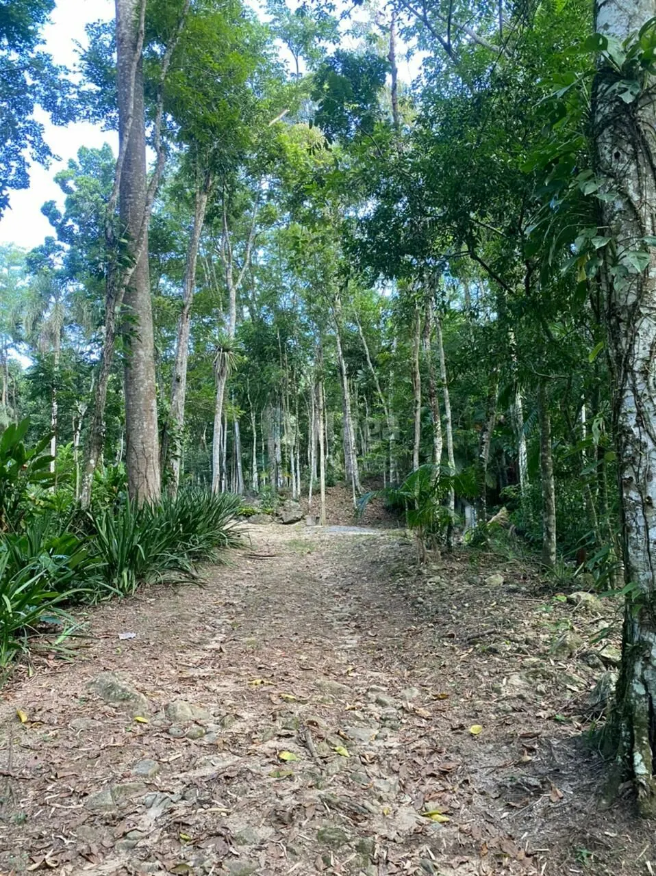 Farm for sale of 5 acres in Canelinha, SC, Brazil