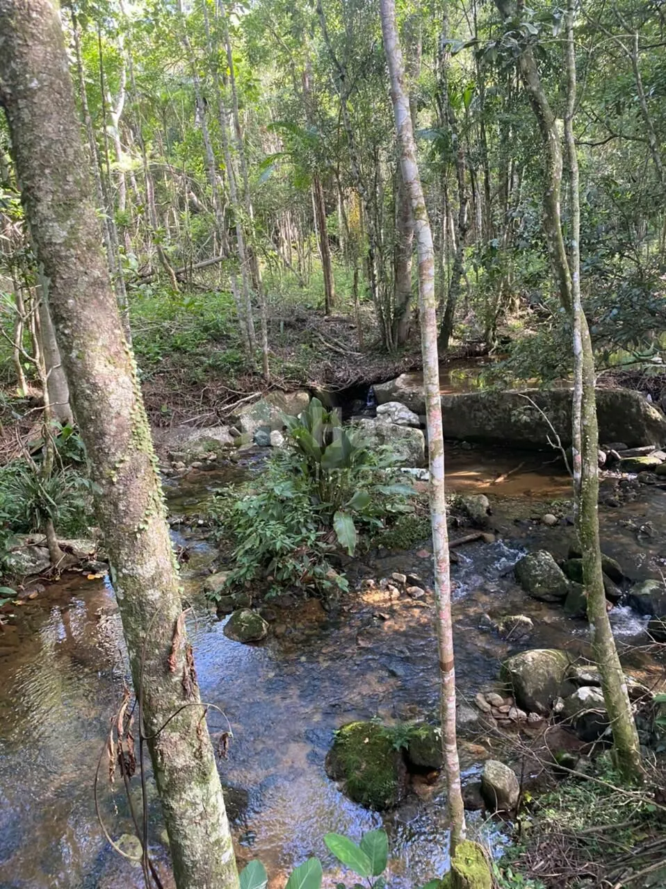 Farm for sale of 5 acres in Canelinha, SC, Brazil