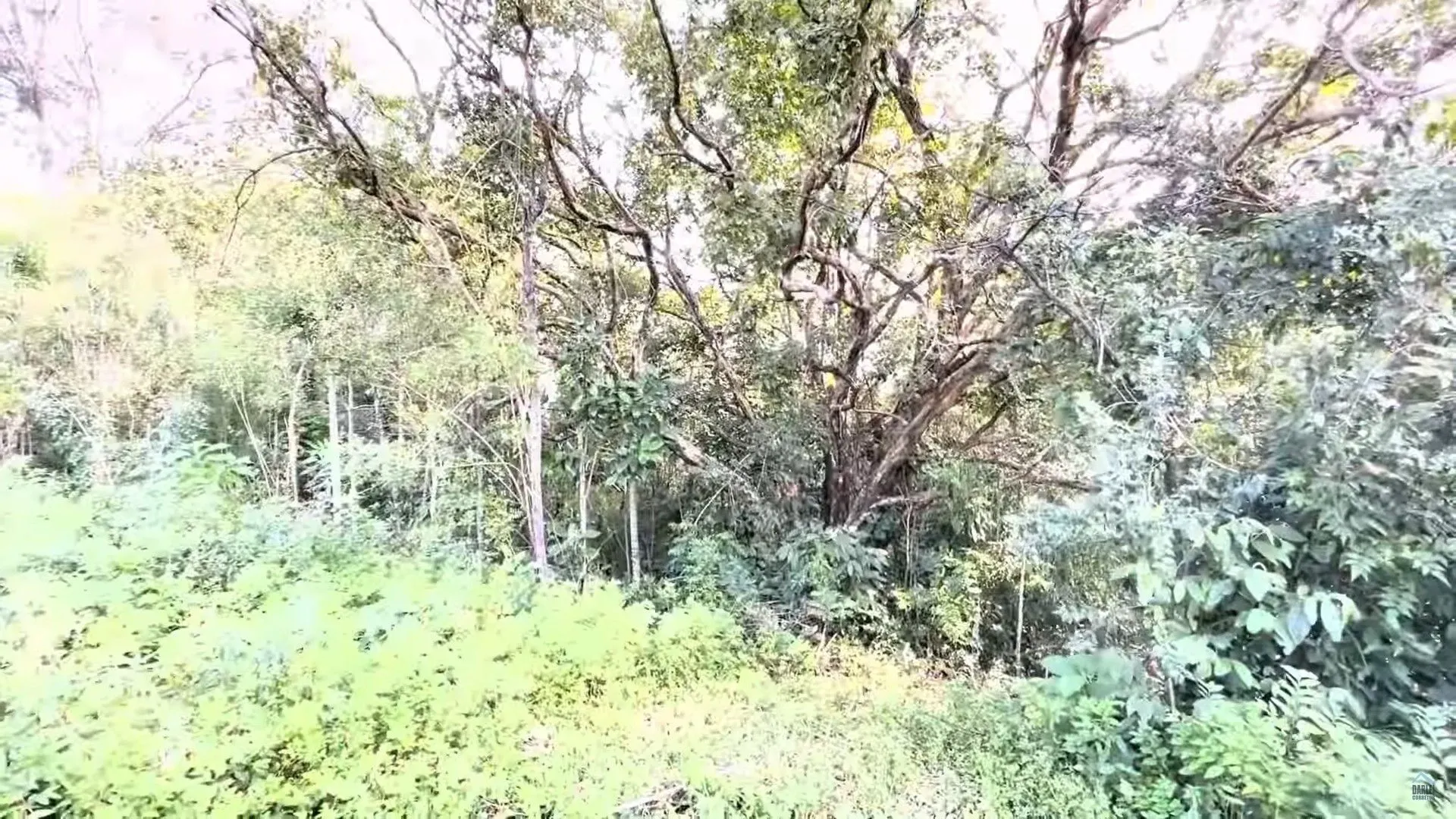 Chácara à venda de 3 ha em Taquara, RS, Brasil