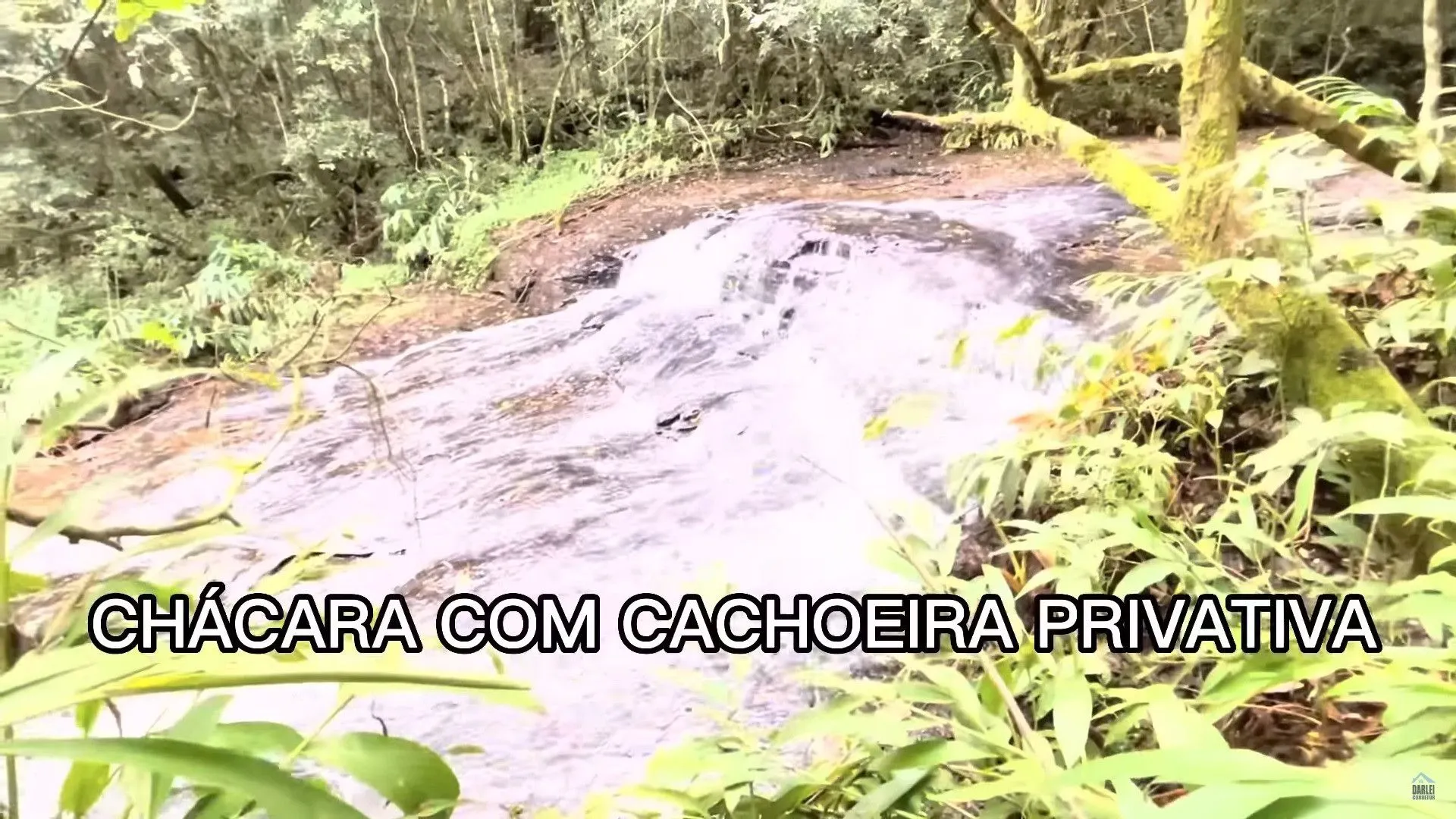 Chácara à venda de 3 ha em Taquara, RS, Brasil