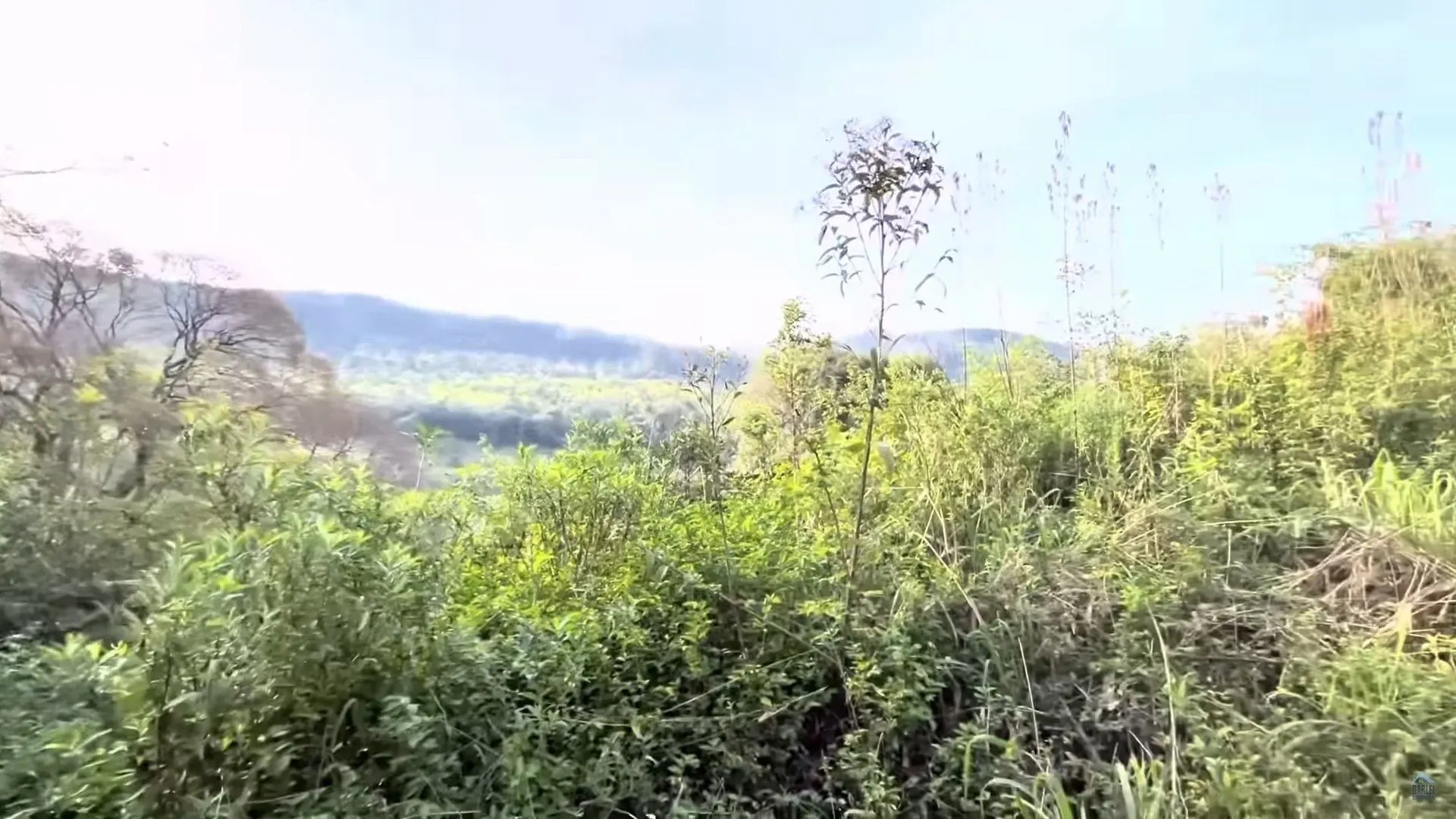 Chácara à venda de 3 ha em Taquara, RS, Brasil