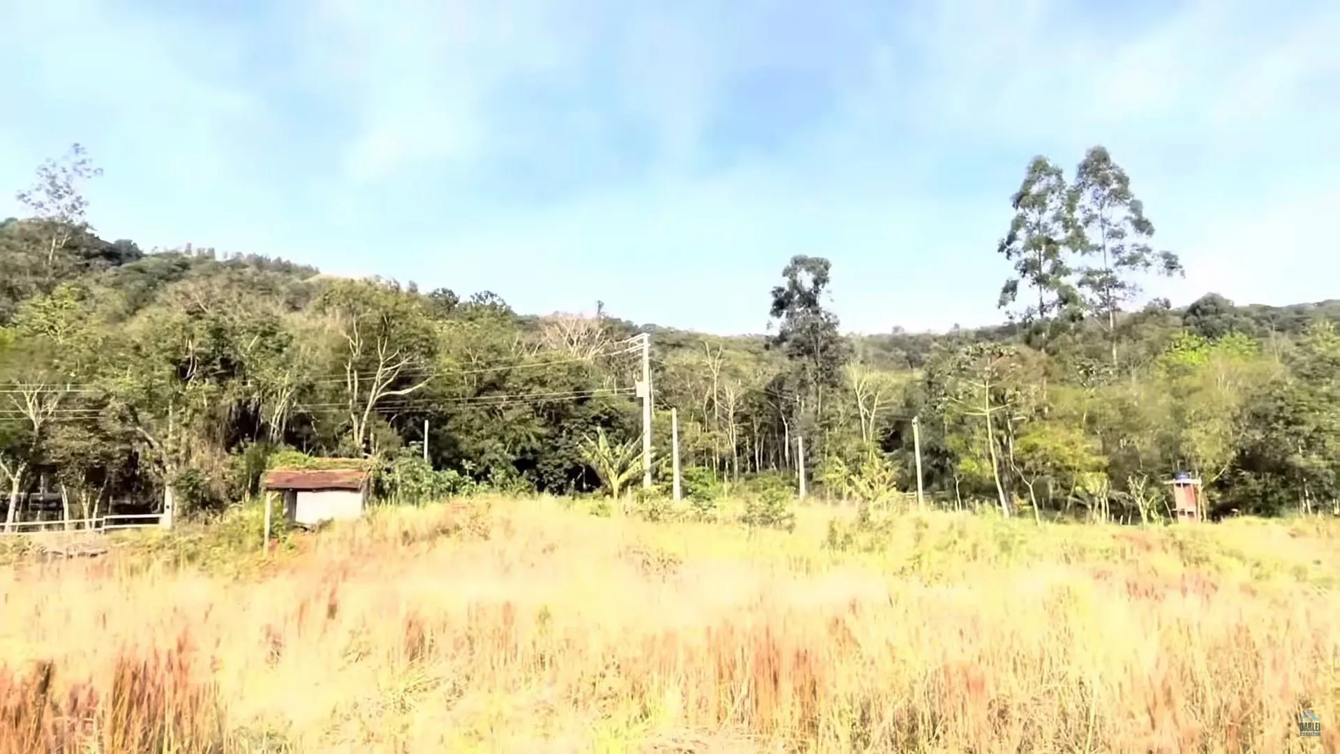 Chácara à venda de 3 ha em Taquara, RS, Brasil