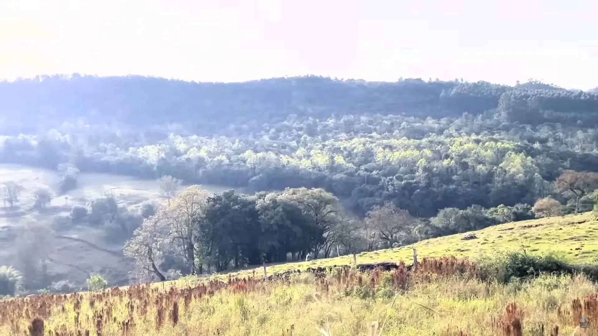 Chácara à venda de 3 ha em Taquara, RS, Brasil