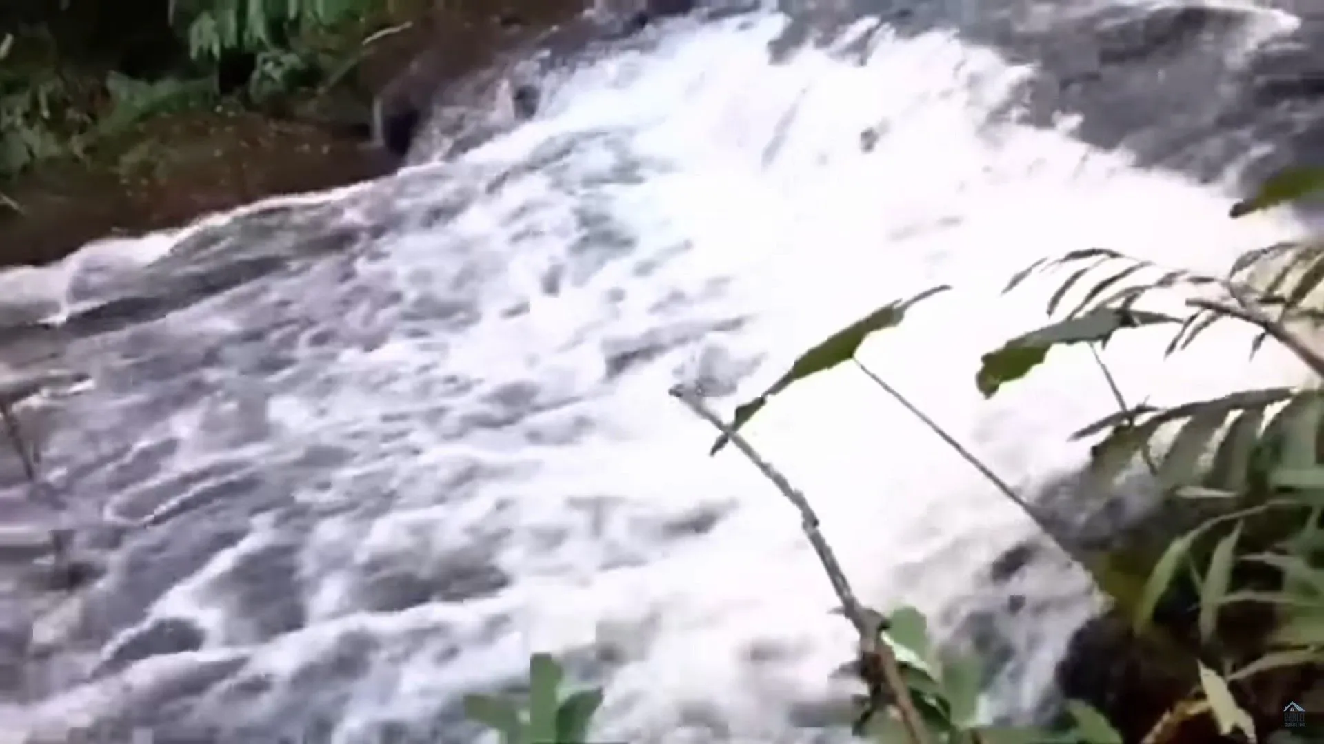 Chácara à venda de 3 ha em Taquara, RS, Brasil
