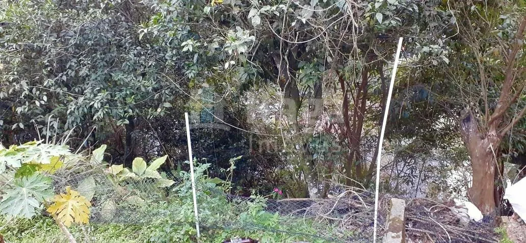 Casa à venda de 392 m² em Brusque, SC, Brasil