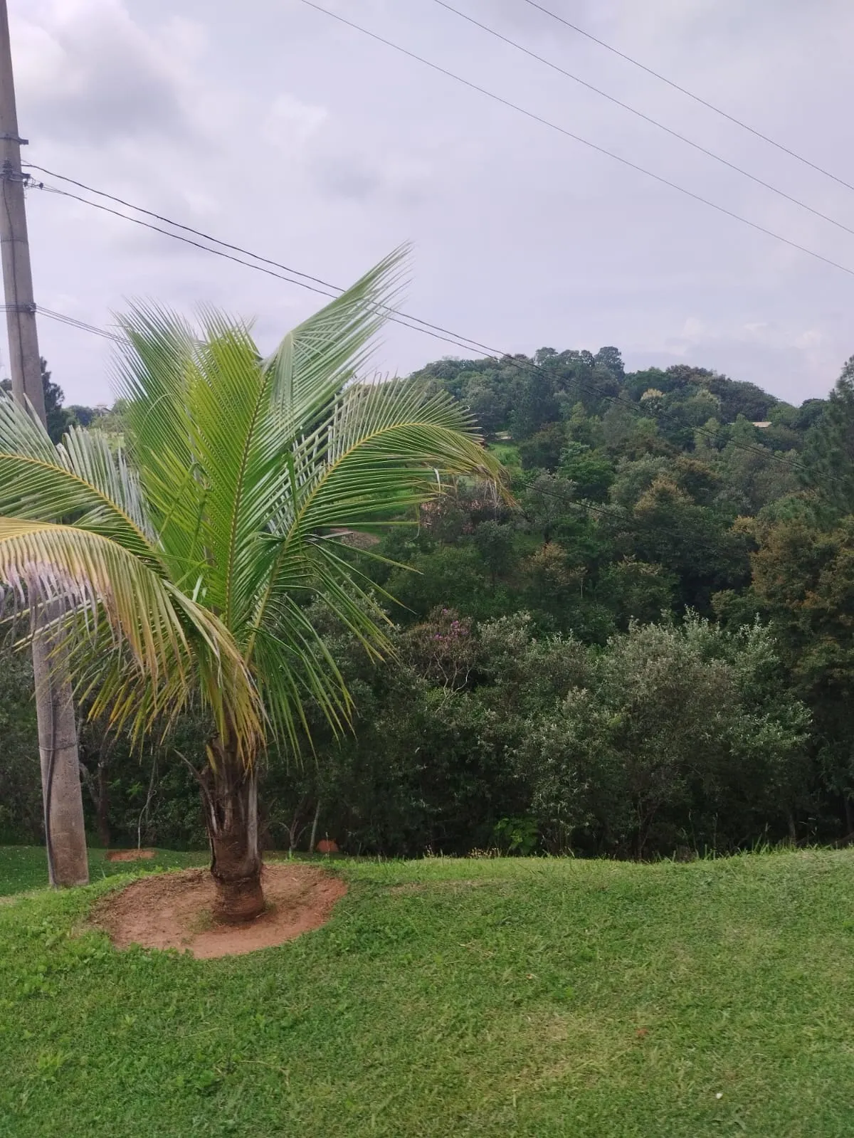 Country home for sale of 9 acres in Campinas, SP, Brazil