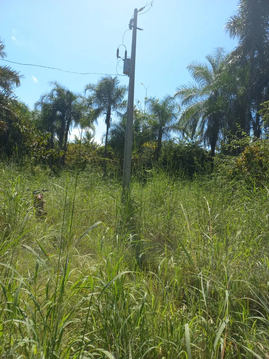 Farm for sale of 284 acres in Confresa, MT, Brazil