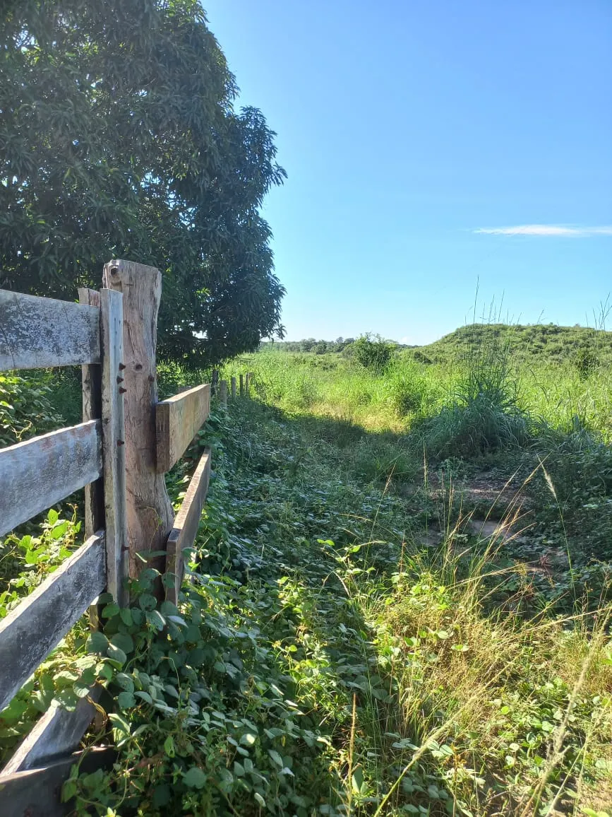 Farm for sale of 284 acres in Confresa, MT, Brazil