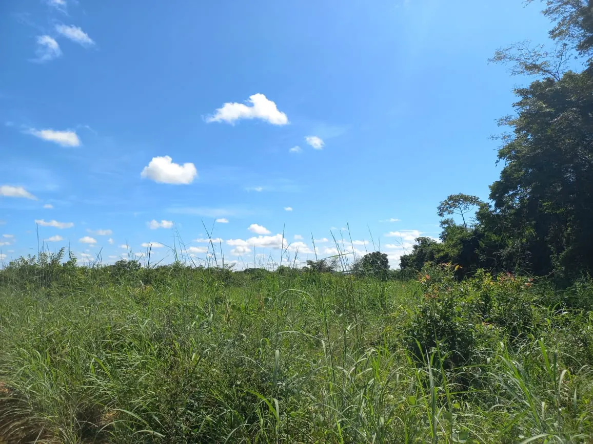 Farm for sale of 284 acres in Confresa, MT, Brazil