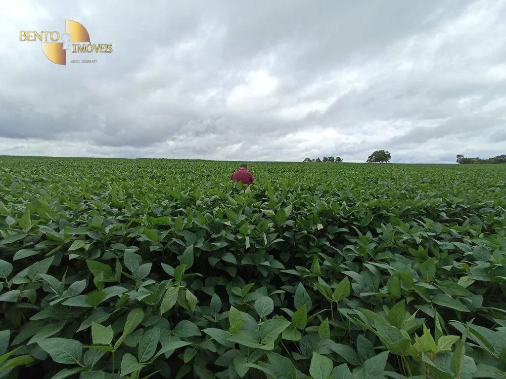 Farm for sale of 2,397 acres in Cuiabá, MT, Brazil