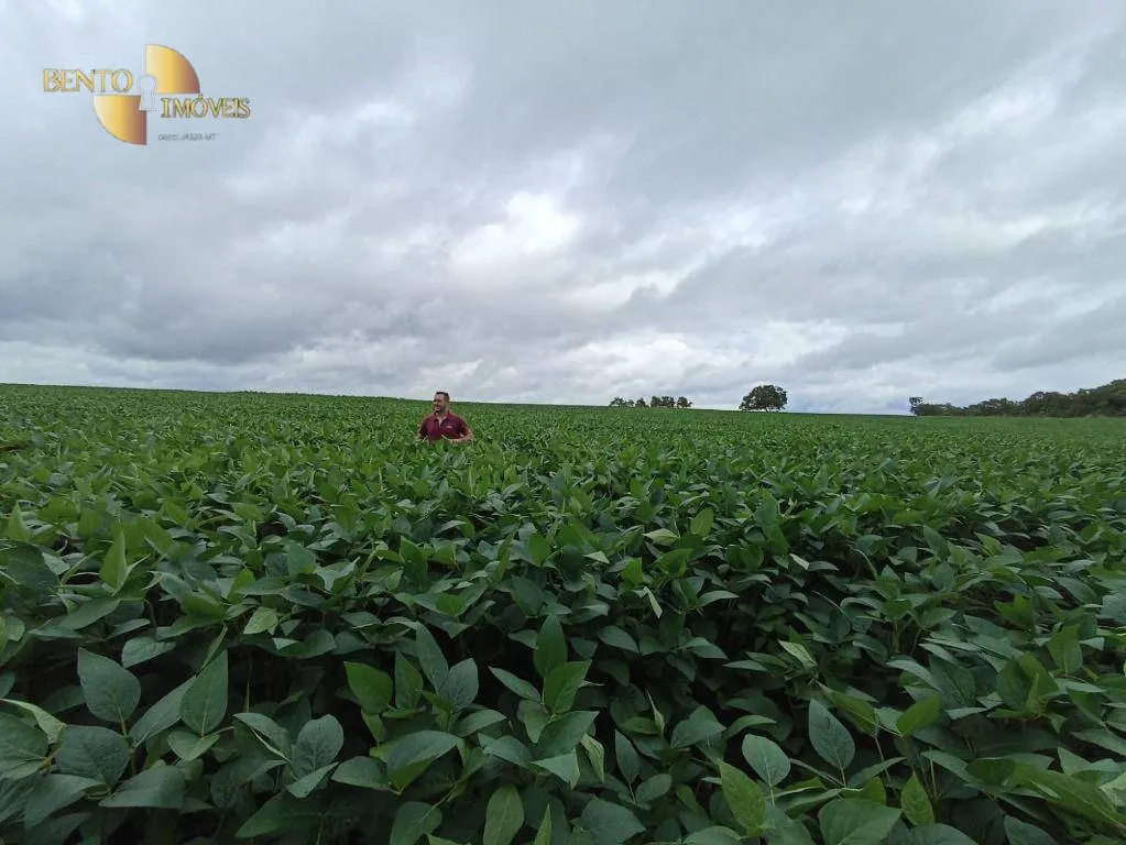 Farm for sale of 2,397 acres in Cuiabá, MT, Brazil