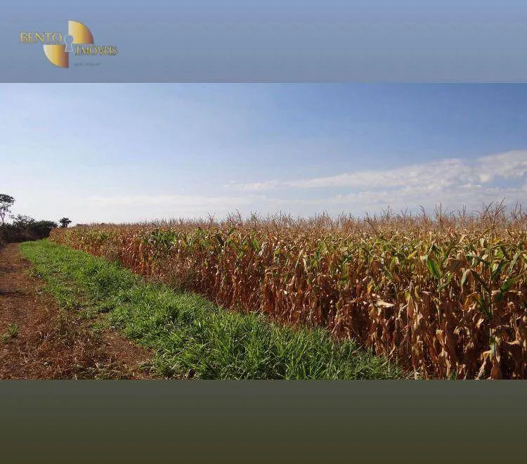 Farm for sale of 2,397 acres in Cuiabá, MT, Brazil