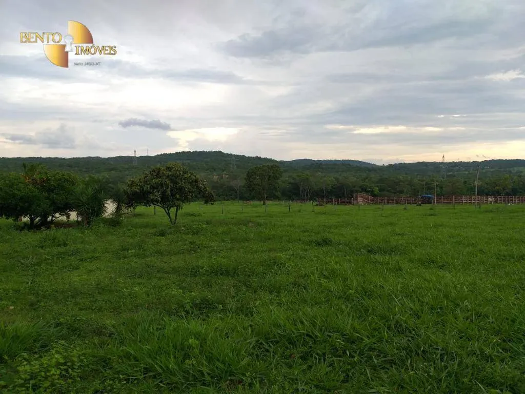 Fazenda à venda de 1.000 ha em Rondonópolis, MT, Brasil