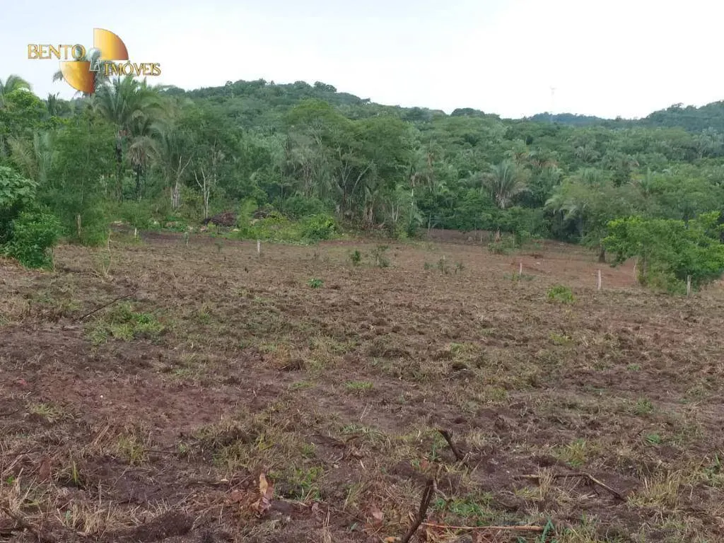 Fazenda à venda de 1.000 ha em Rondonópolis, MT, Brasil
