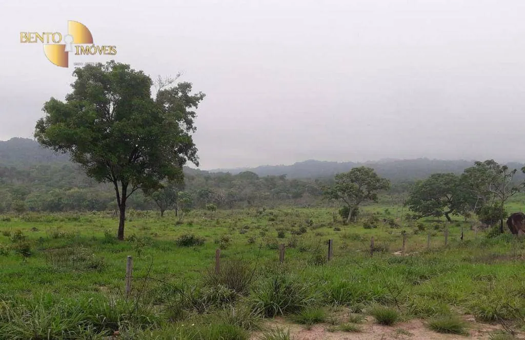 Fazenda à venda de 1.000 ha em Rondonópolis, MT, Brasil