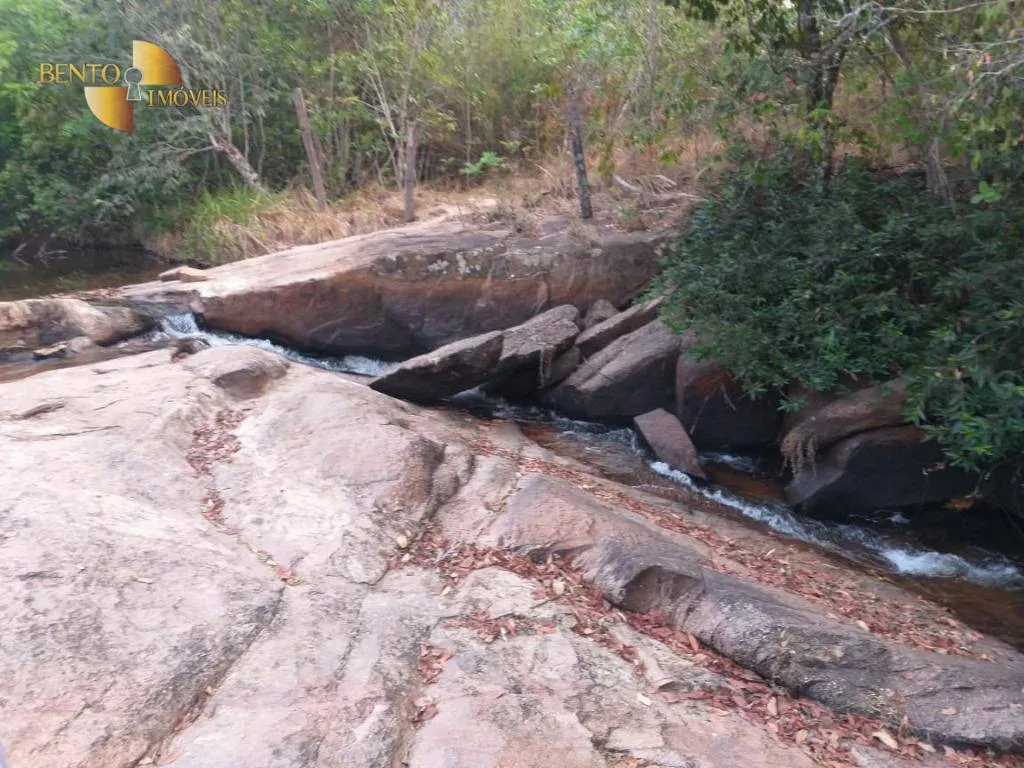 Fazenda à venda de 1.000 ha em Rondonópolis, MT, Brasil