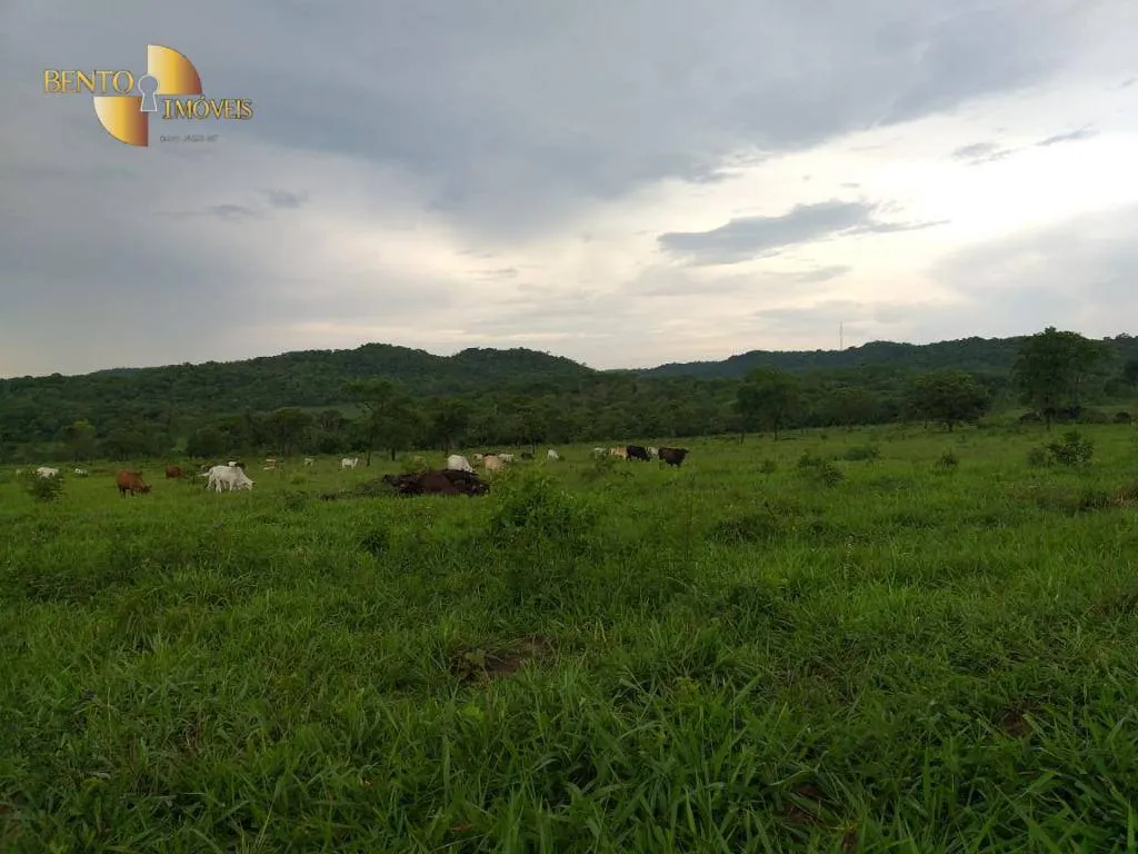 Fazenda à venda de 1.000 ha em Rondonópolis, MT, Brasil