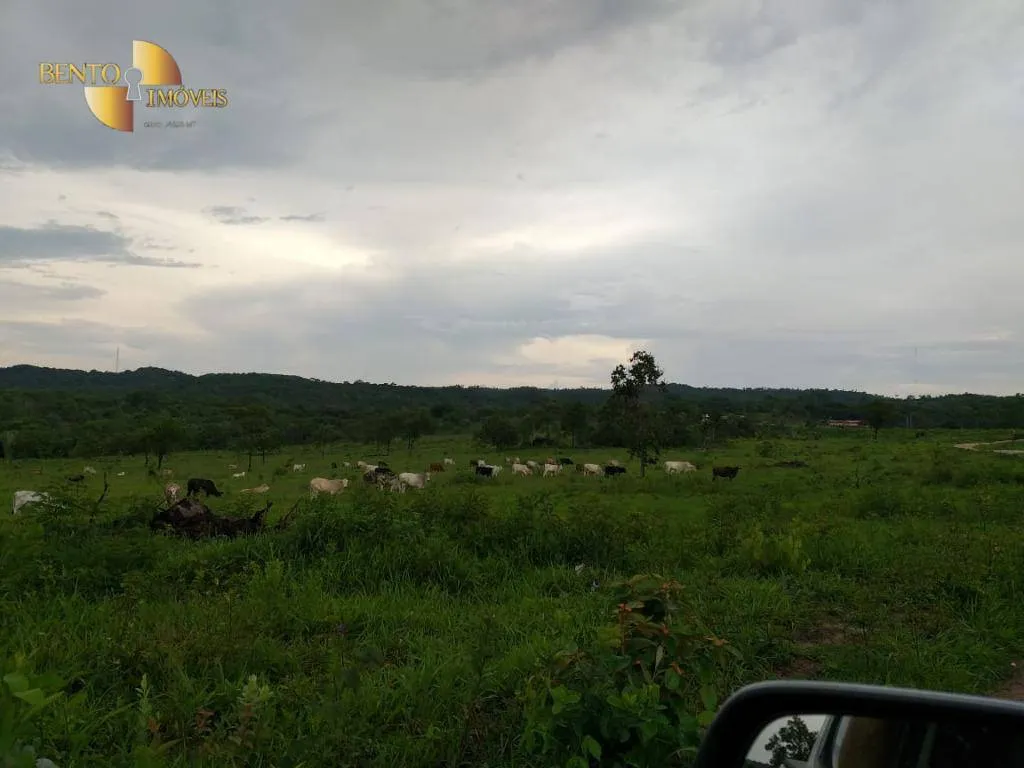Fazenda à venda de 1.000 ha em Rondonópolis, MT, Brasil