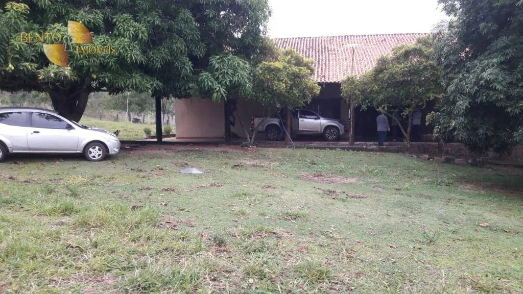 Fazenda à venda de 1.000 ha em Rondonópolis, MT, Brasil