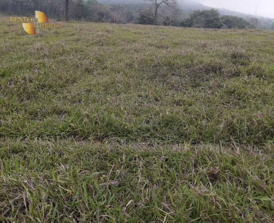 Fazenda à venda de 1.000 ha em Rondonópolis, MT, Brasil
