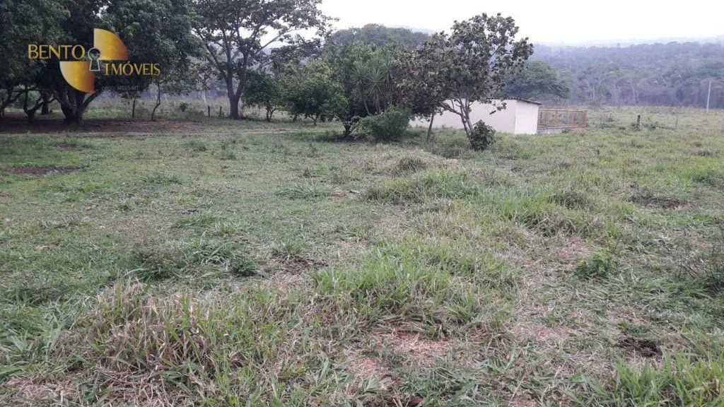 Fazenda à venda de 1.000 ha em Rondonópolis, MT, Brasil