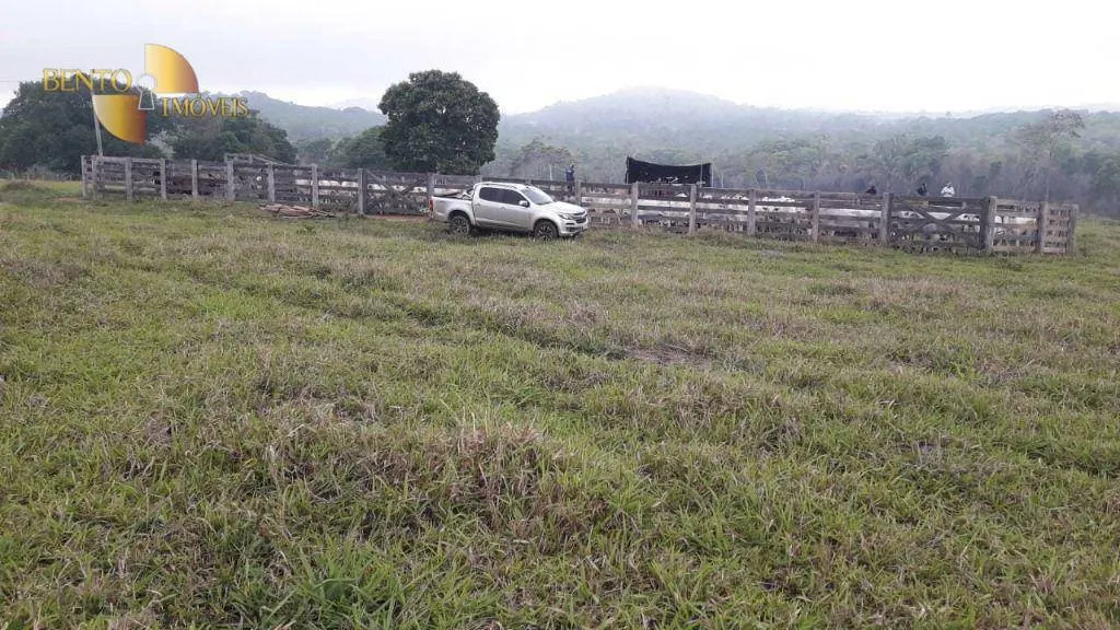 Fazenda à venda de 1.000 ha em Rondonópolis, MT, Brasil