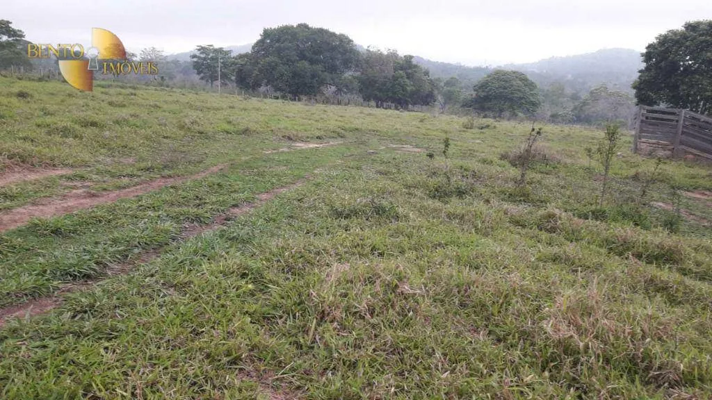 Fazenda à venda de 1.000 ha em Rondonópolis, MT, Brasil