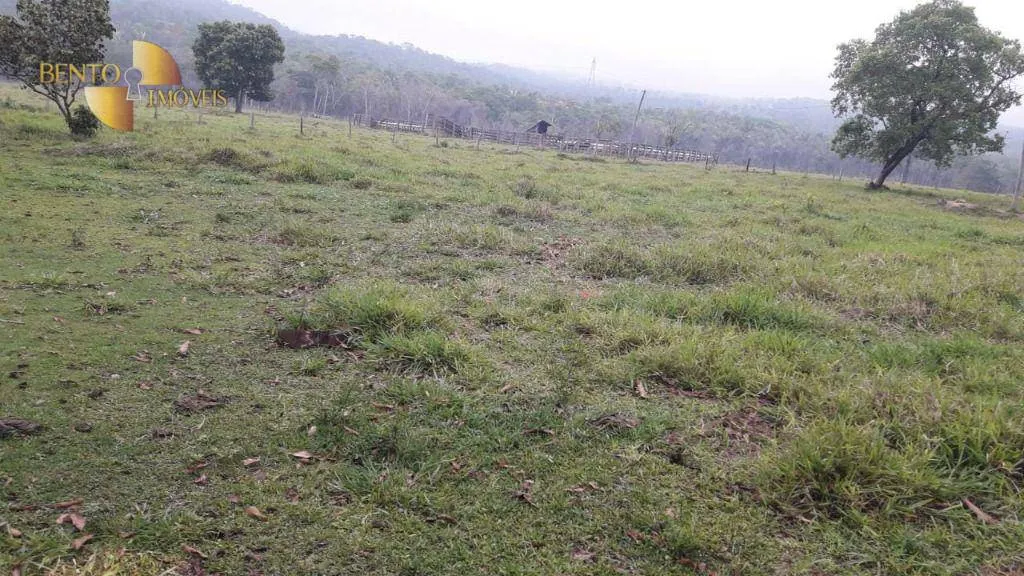 Fazenda à venda de 1.000 ha em Rondonópolis, MT, Brasil