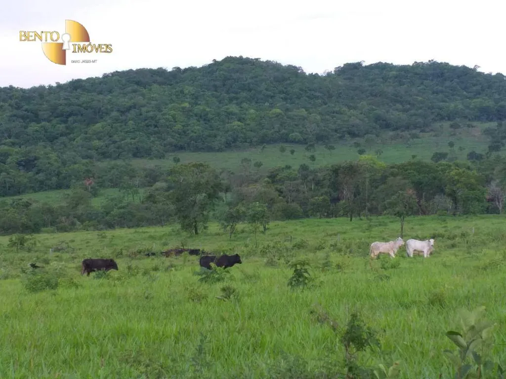 Fazenda à venda de 1.000 ha em Rondonópolis, MT, Brasil
