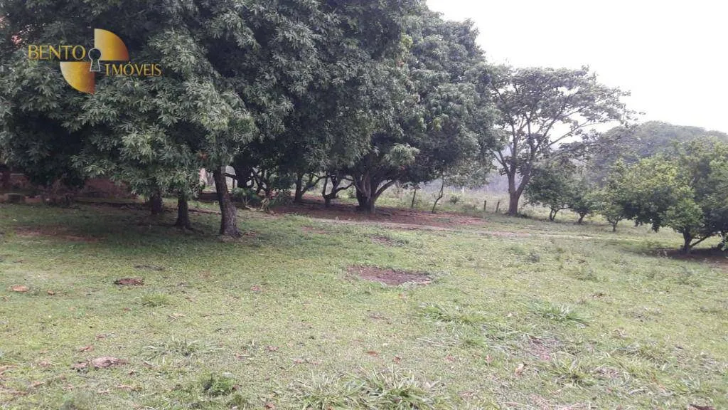 Fazenda à venda de 1.000 ha em Rondonópolis, MT, Brasil