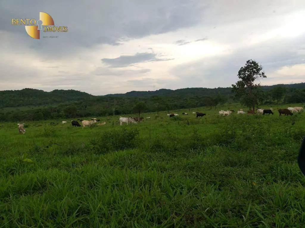 Fazenda à venda de 1.000 ha em Rondonópolis, MT, Brasil