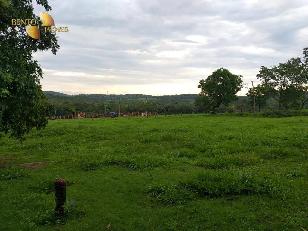 Fazenda à venda de 1.000 ha em Rondonópolis, MT, Brasil